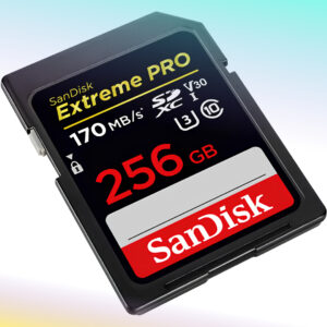 SanDisk Extreme PRO 256GB MicroSD Card